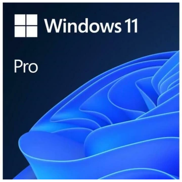 Win 11 Pro 64Bit Hungarian 1pk DSP OEI DVD