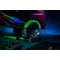 Razer Blackshark V2 + USB Mic Enhancer SE