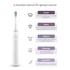 Kép 9/10 - TrueLife SonicBrush Clean30 Elektromos fogkefe