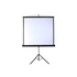 Kép 3/3 - Funscreen Tripod hordozható vetítővászon, 1:1, 200x200 cm