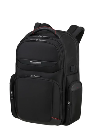 Samsonite- Pro-DLX 6 Backpack 17.3